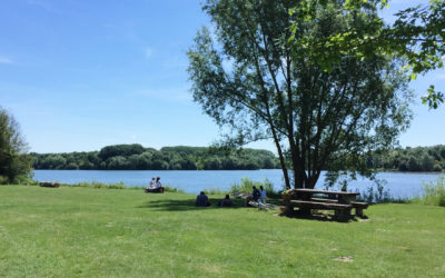 Cours de Yoga au lac du Héron