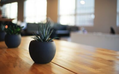 Atelier feng shui