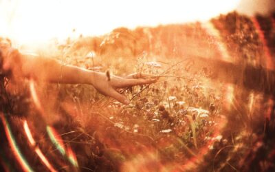 Atelier : Do-In « Vive l&rsquo;été !! »